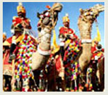 Camel Fair, Pushkar