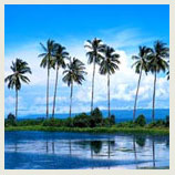 Cochin